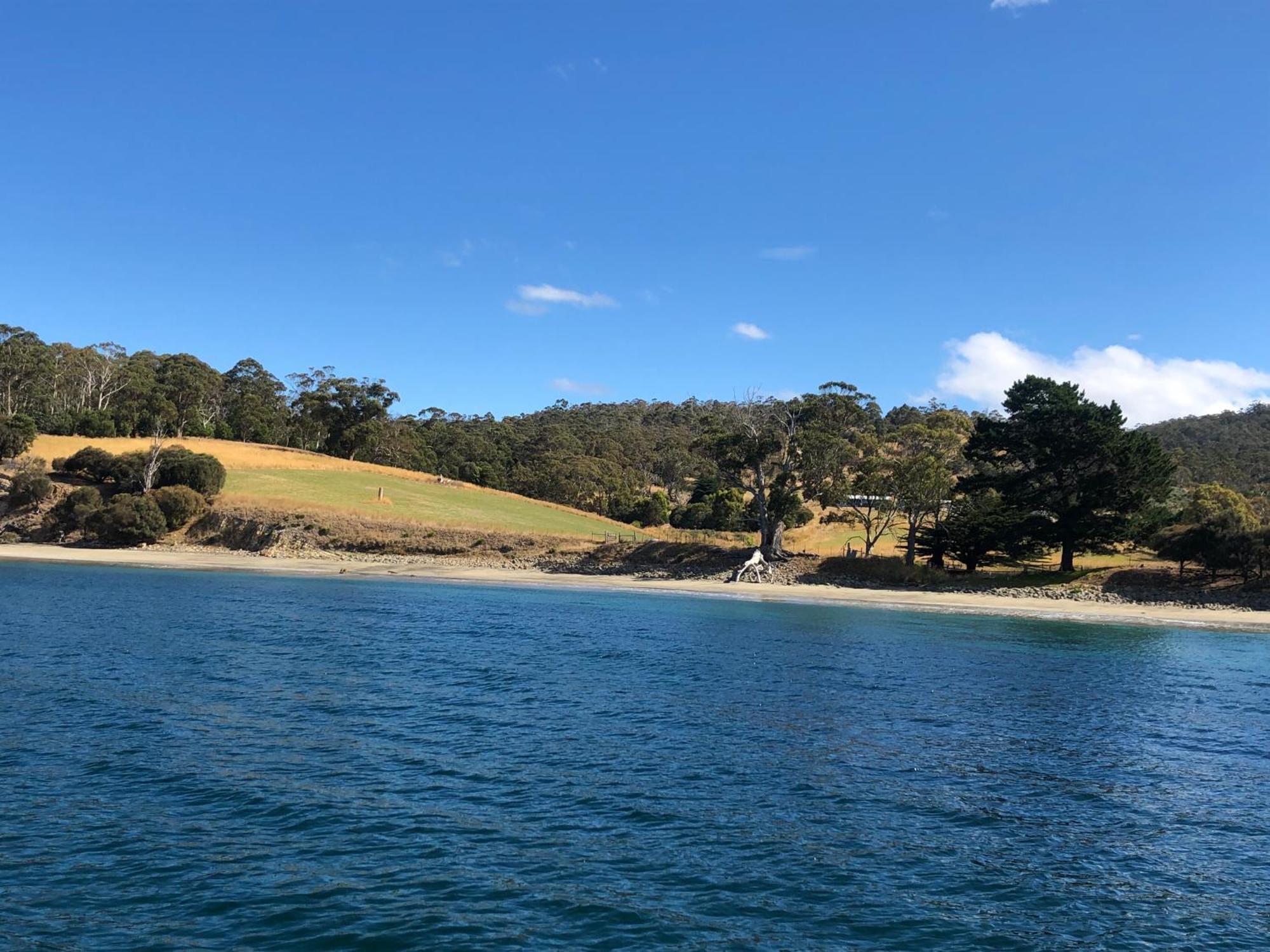 The Woolshed And Farmhouse Blue, Bruny Island Barnes Bay Bagian luar foto
